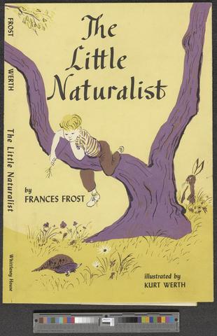 The Little Naturalist, circa 1959 [b008] [f004] [001] show page link