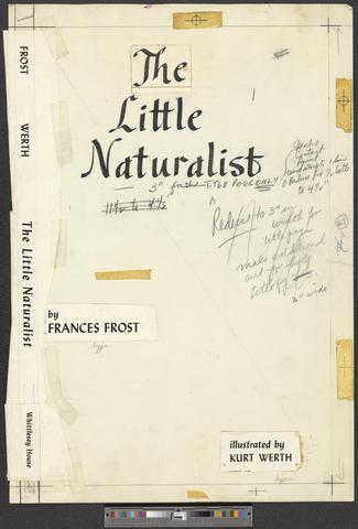 The Little Naturalist, circa 1959 [b008] [f004] [010a] show page link