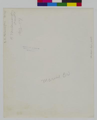 Marine Biology, Oregon Institute of: OIMB, 1 of 2 [57] (verso) show page link