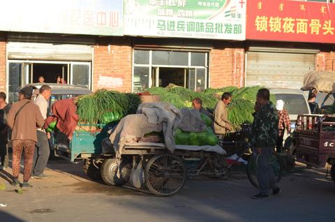 2013July_20130705DKInnerMongolia_002 show page link