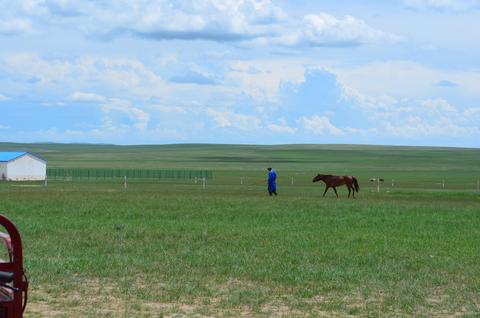 2013July_20130708DKInnerMongolia_052 show page link