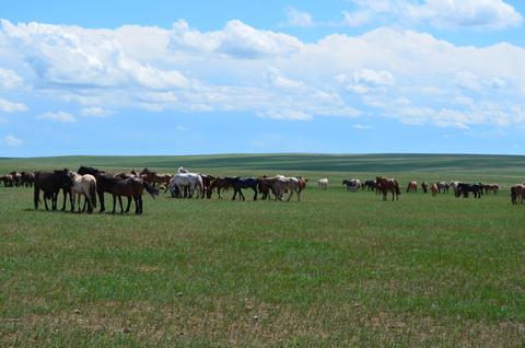 2013July_20130708DKInnerMongolia_068 show page link