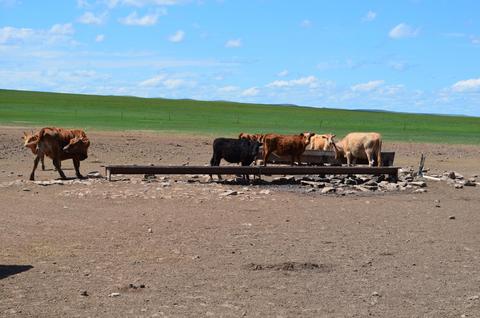 2013July_20130708DKInnerMongolia_079 show page link