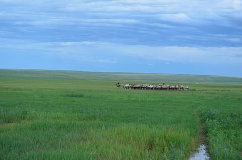 2013July_20130708DKInnerMongolia_130 show page link