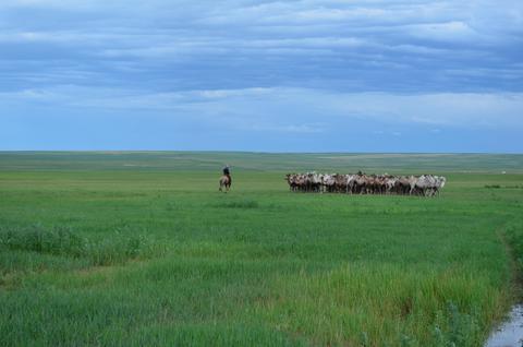 2013July_20130708DKInnerMongolia_131 show page link