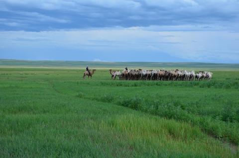 2013July_20130708DKInnerMongolia_133 show page link