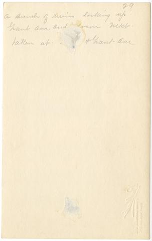 Collier Family; San Francisco Earthquake, Gift [11] (verso) show page link