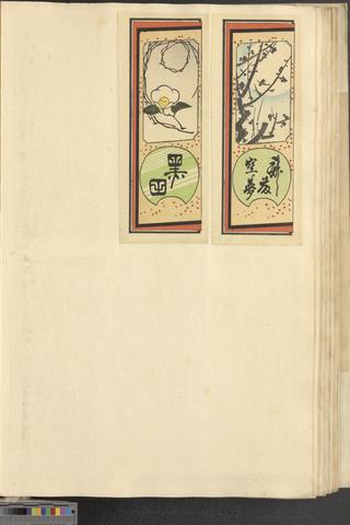 Folio 14 recto show page link