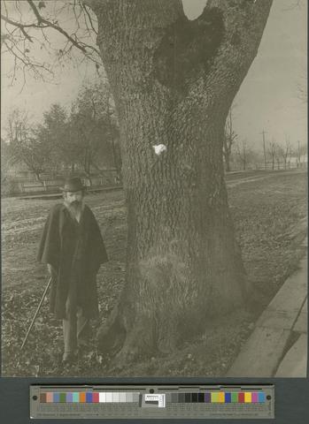 Thomas Condon [Thomas standing next to large tree] [PH082] [012] show page link